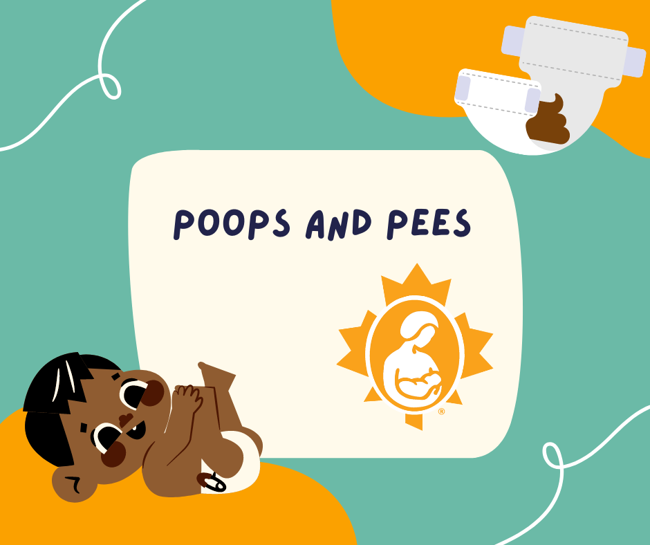 poops-and-pees-la-leche-league-canada-breastfeeding-support-and